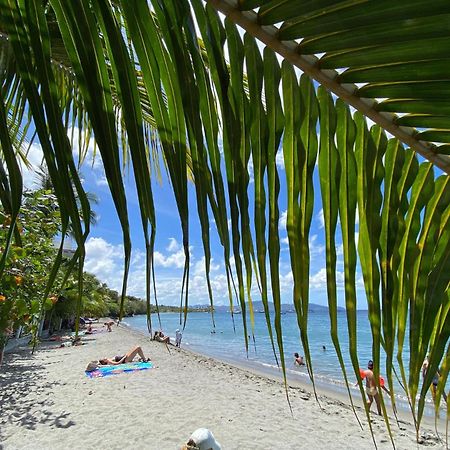 Bungalow Palbea Superieur Avec Spa Et Vue Mer 舍尔谢 外观 照片