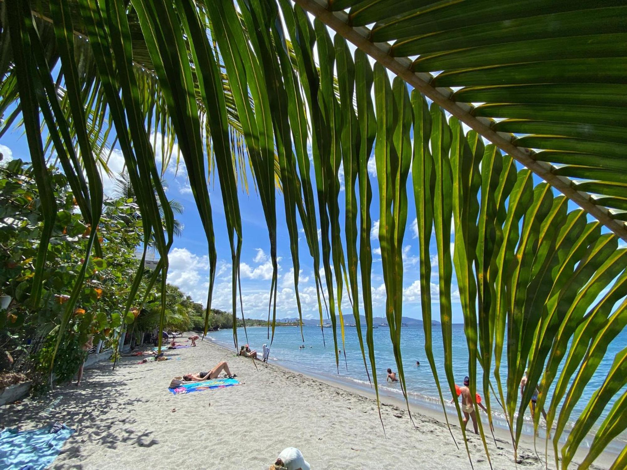 Bungalow Palbea Superieur Avec Spa Et Vue Mer 舍尔谢 外观 照片
